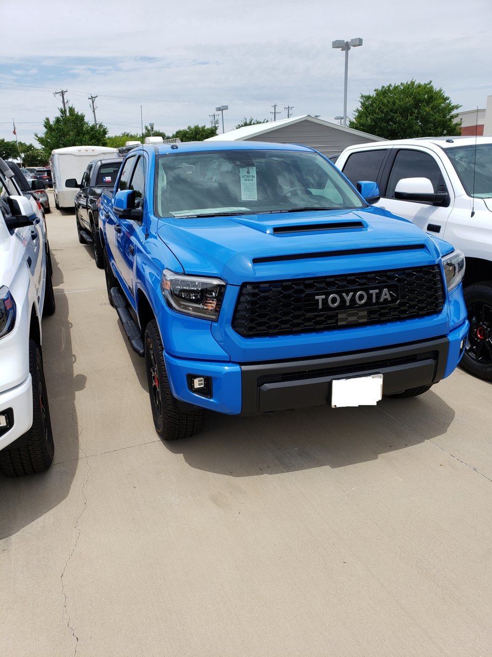 Cerakote Trim Coat  Toyota Tundra Forum