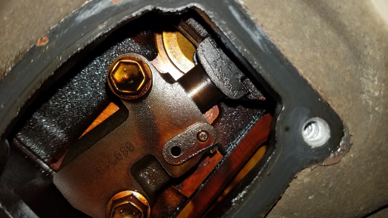 20190602_153533.jpg