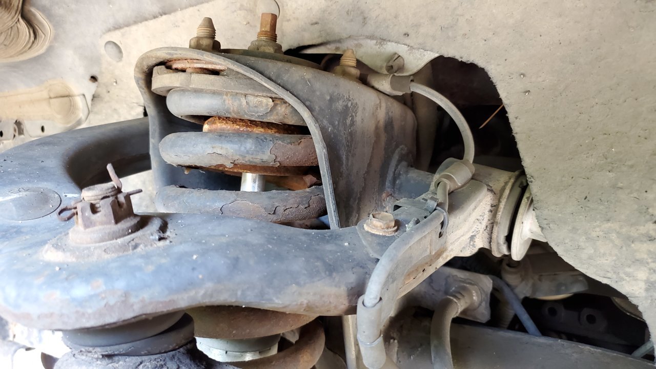 20190602_154911.jpg