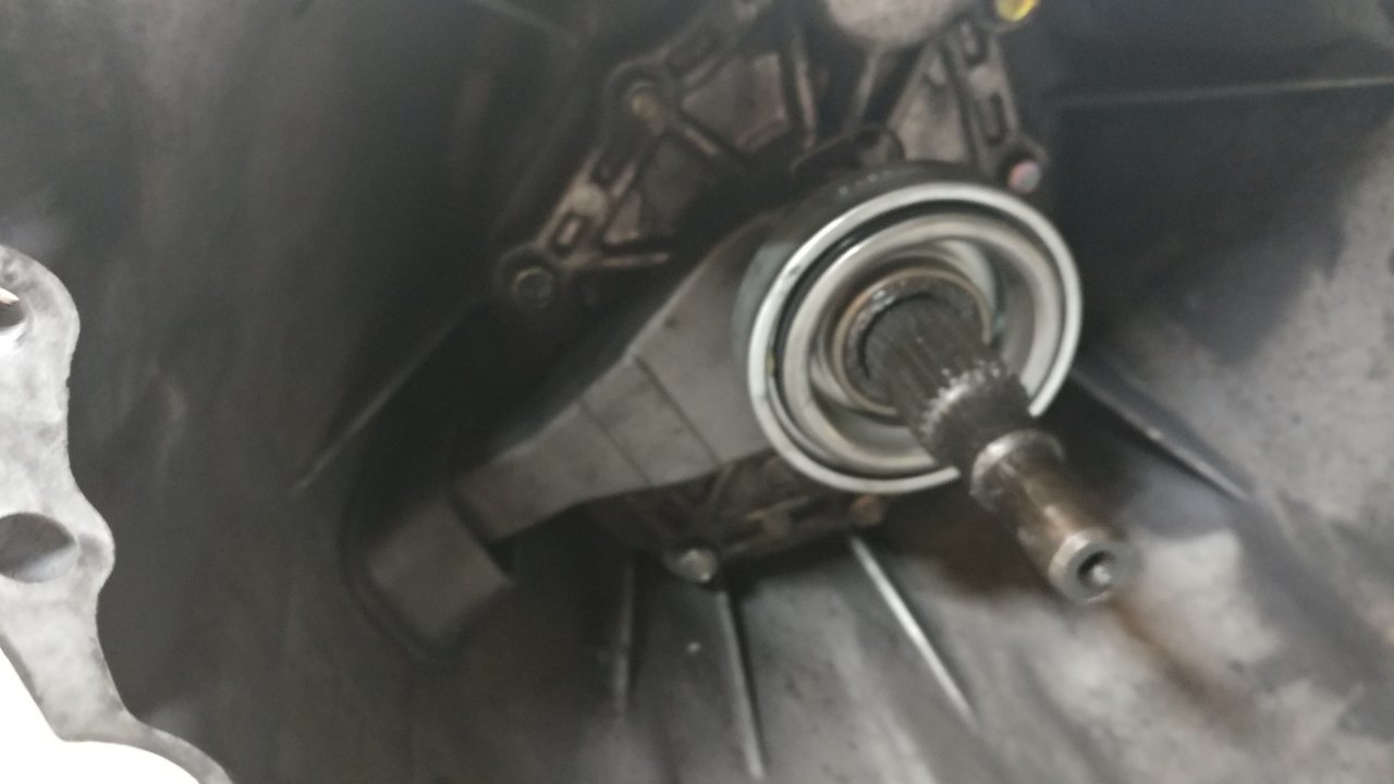 20190602_183057.jpg