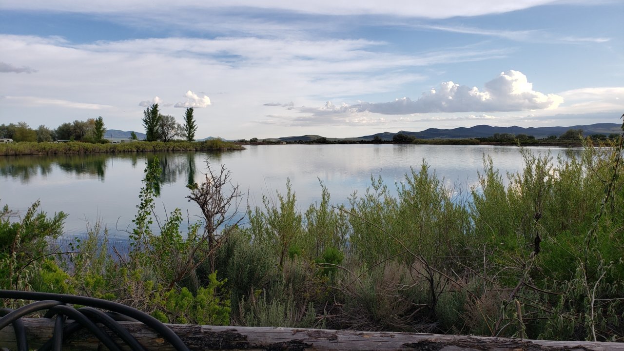 20190602_194522.jpg
