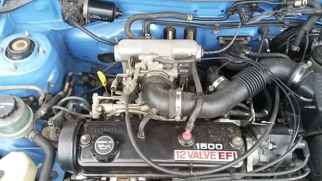 20190603_075243.jpg