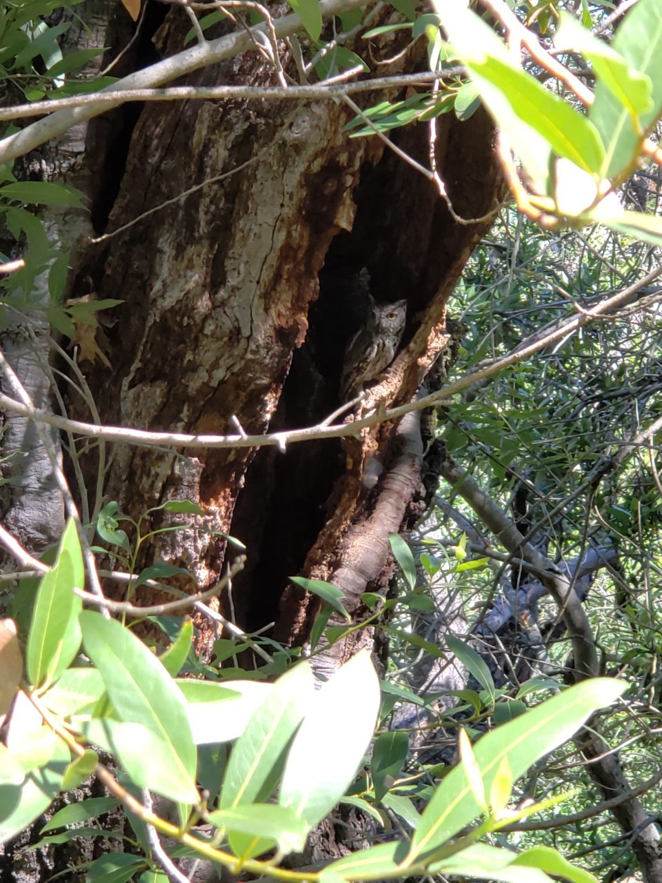 20190603_103114.jpg