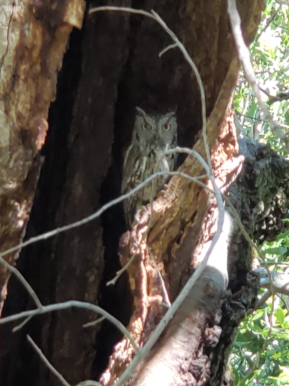 20190603_103318.jpg