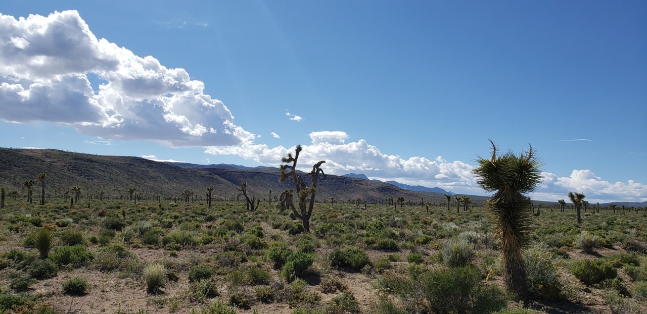 20190603_160657.jpg