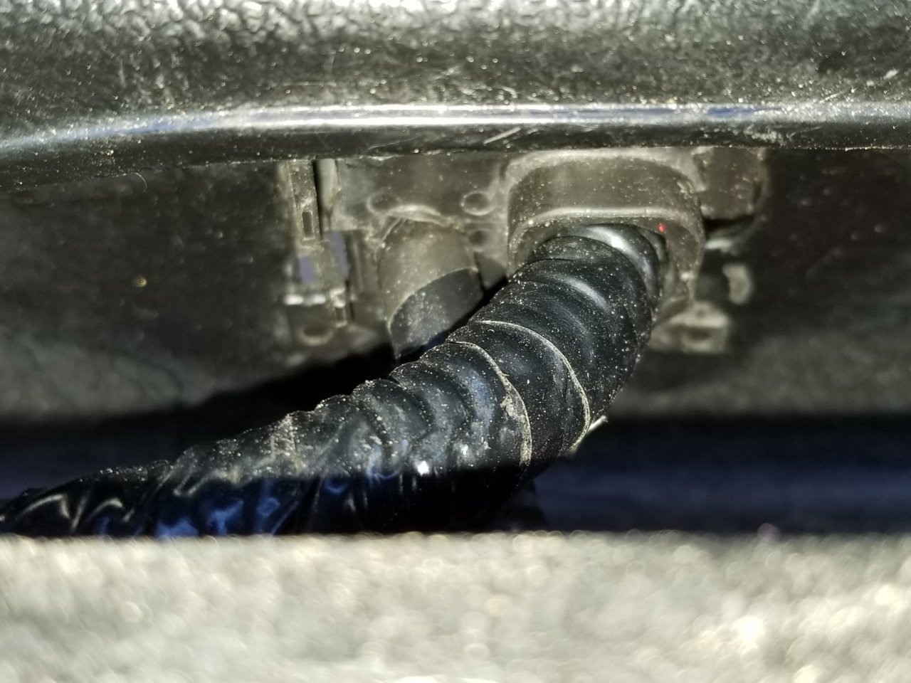 20190603_164355.jpg