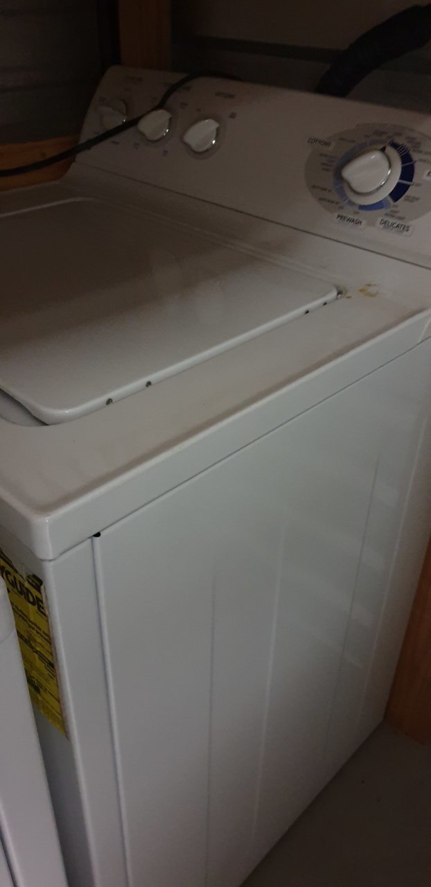 20190603_174426.jpg