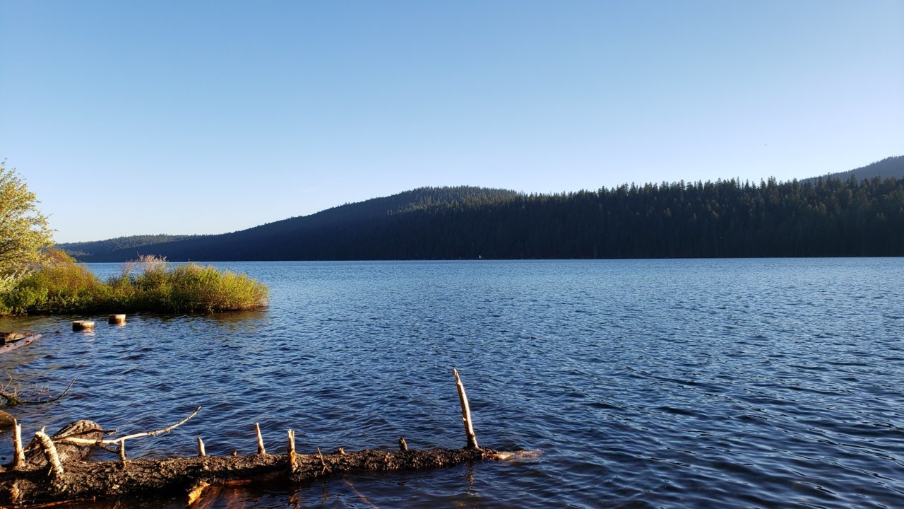 20190603_193419.jpg