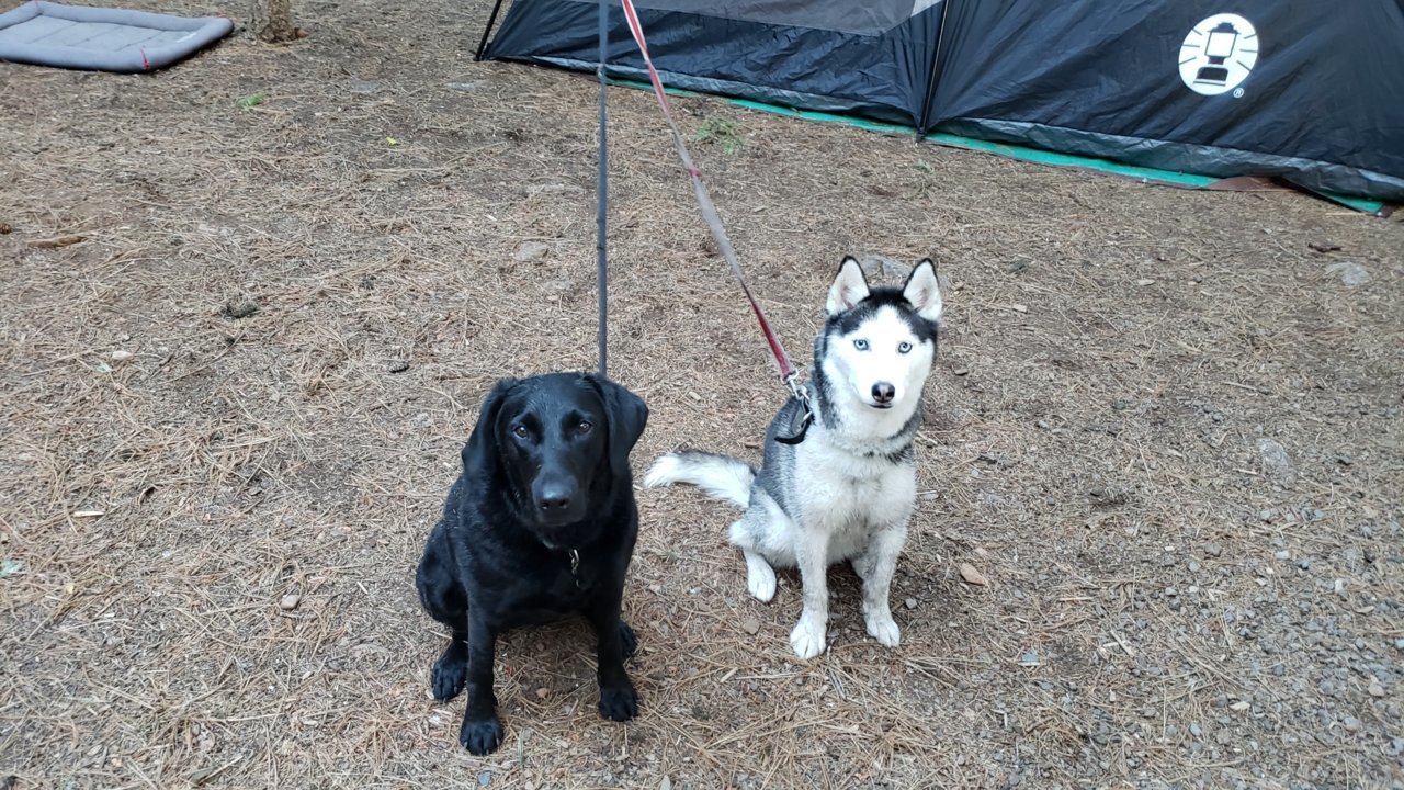 20190603_201030.jpg