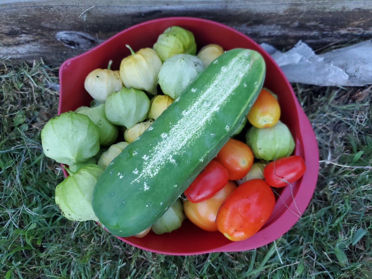 20190603_201219.jpg
