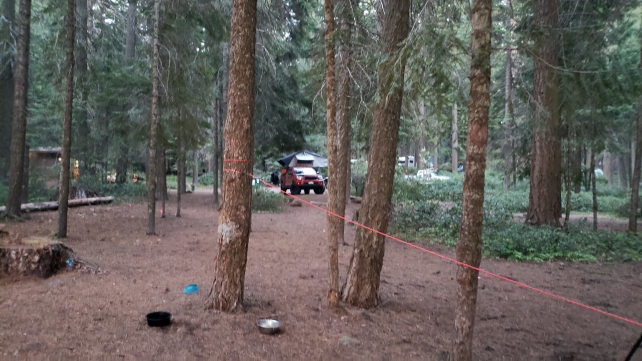20190603_204447.jpg