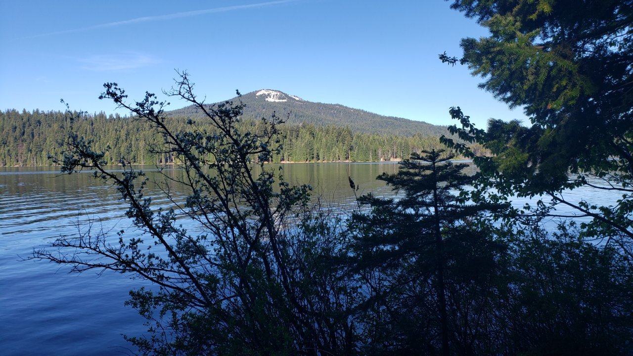 20190604_080502.jpg