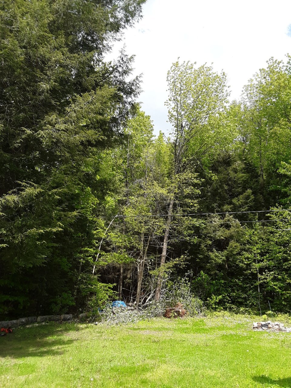 20190604_141610_resized_1.jpg