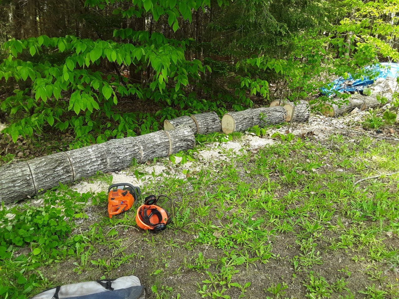 20190604_141626_resized.jpg