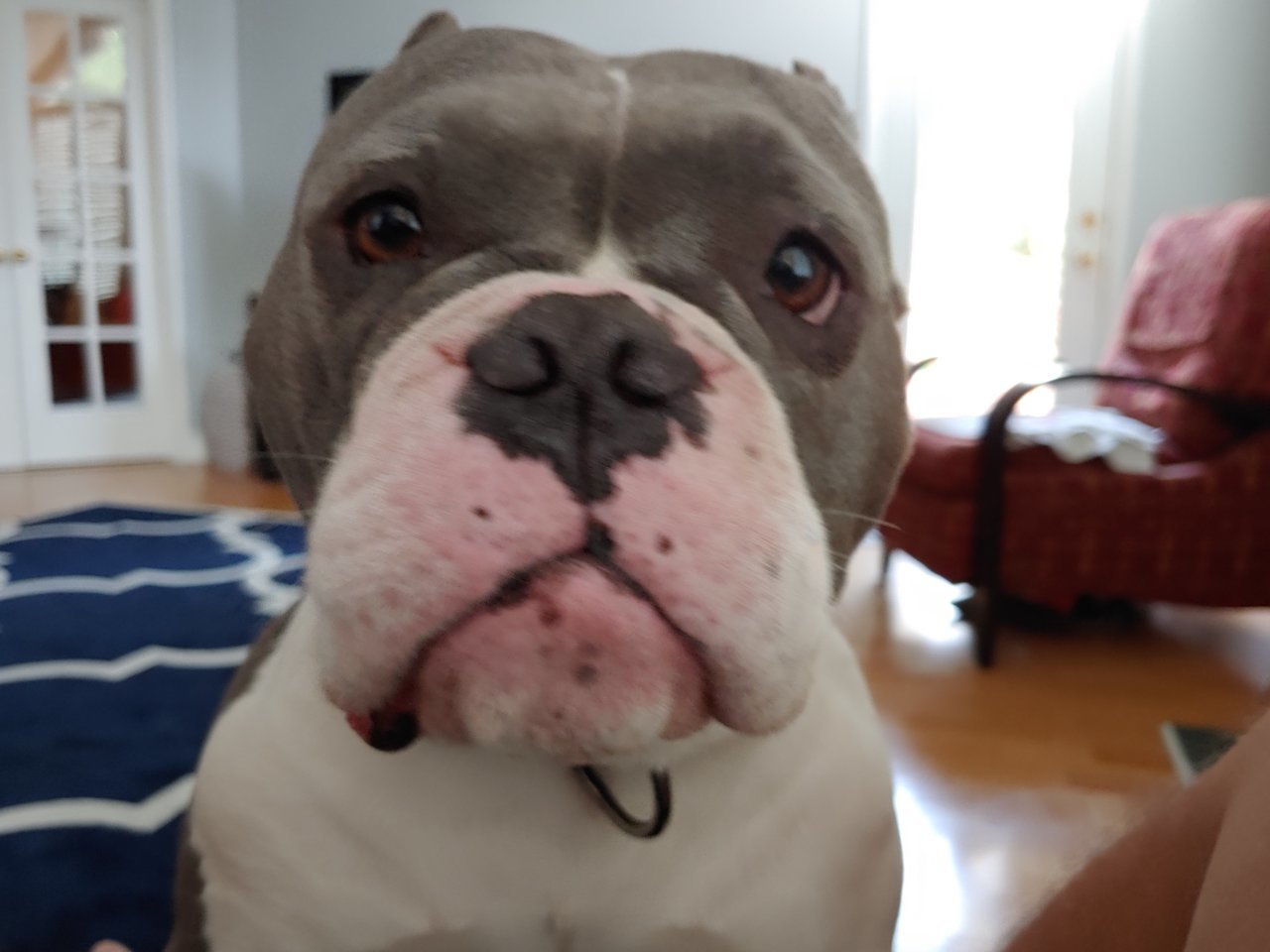 20190604_191608_HDR.jpg