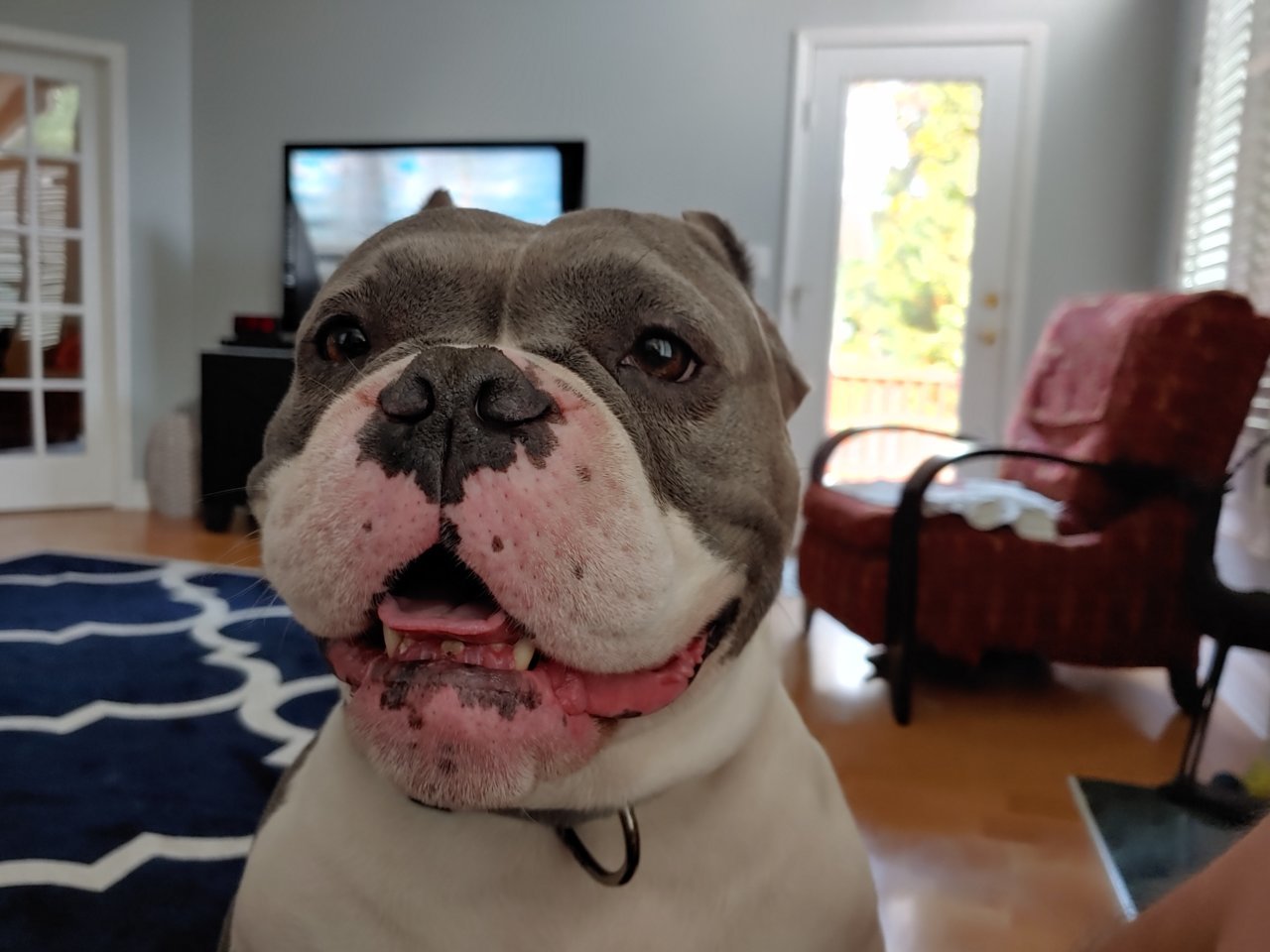 20190604_191619_HDR.jpg