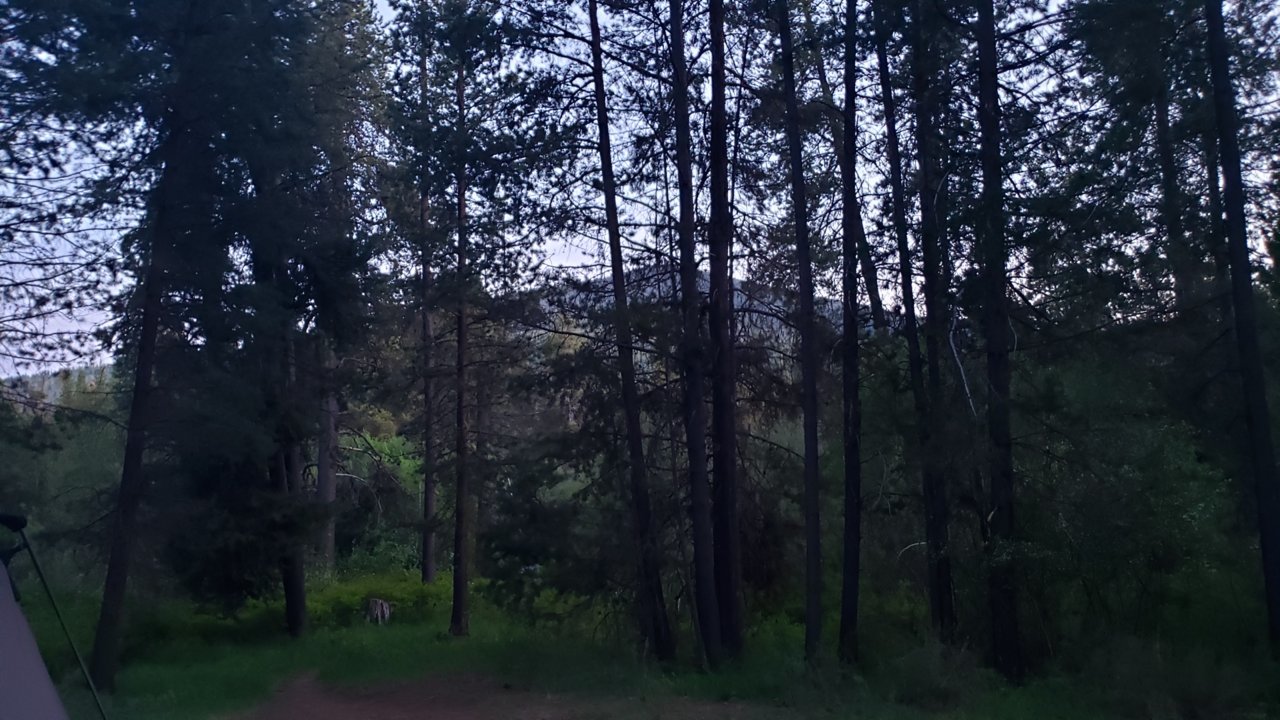 20190604_210047.jpg