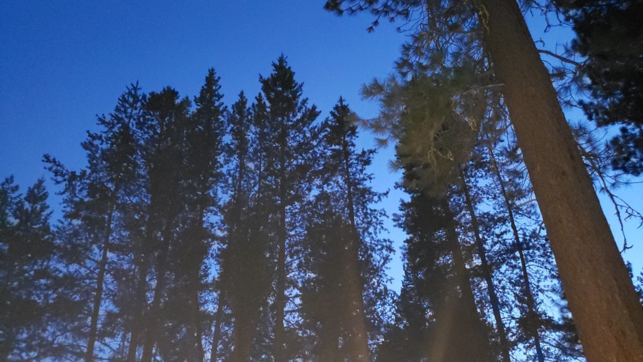 20190604_212305.jpg