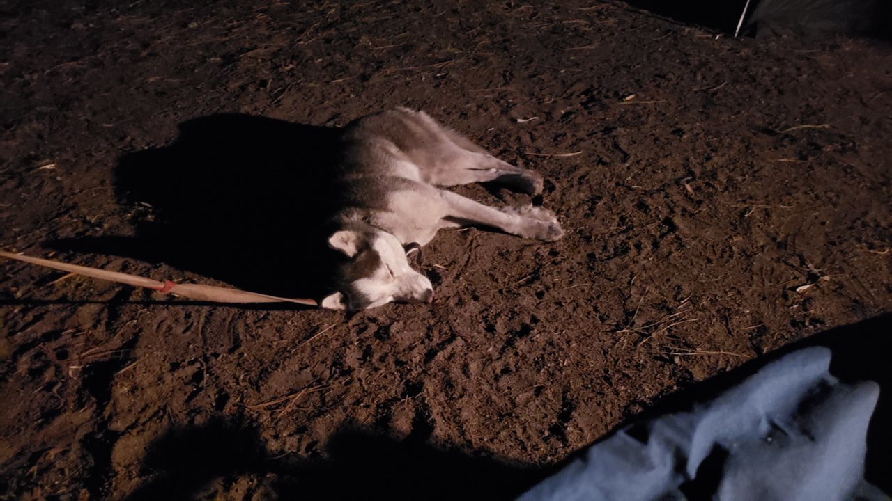 20190604_214022.jpg