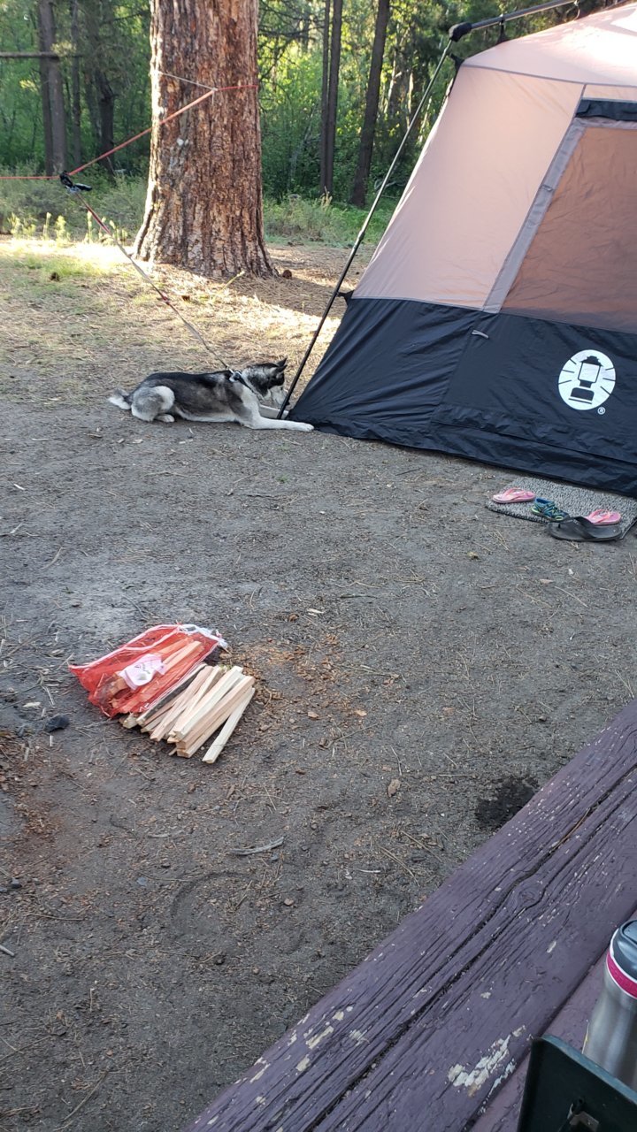 20190605_071332.jpg