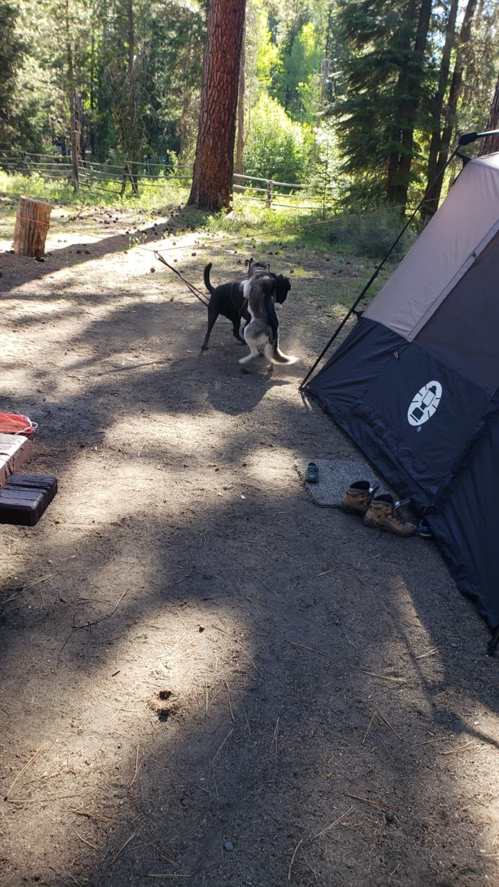 20190605_083415.jpg