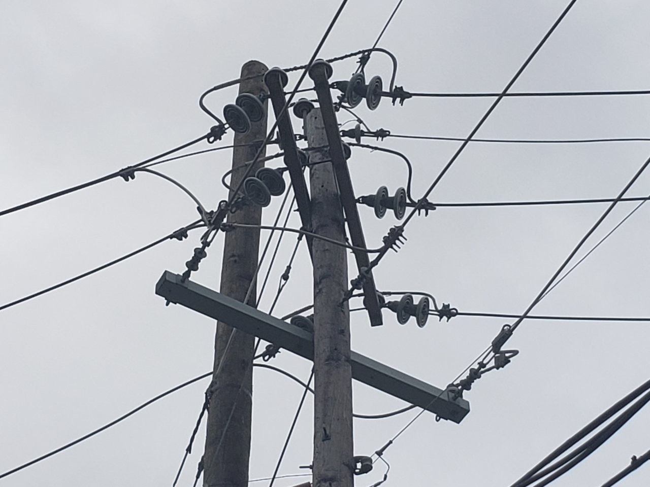 20190605_094140.jpg