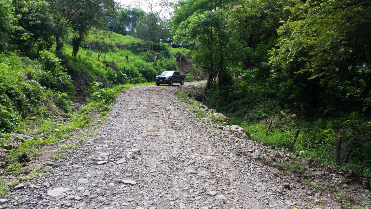 20190605_104146.jpg