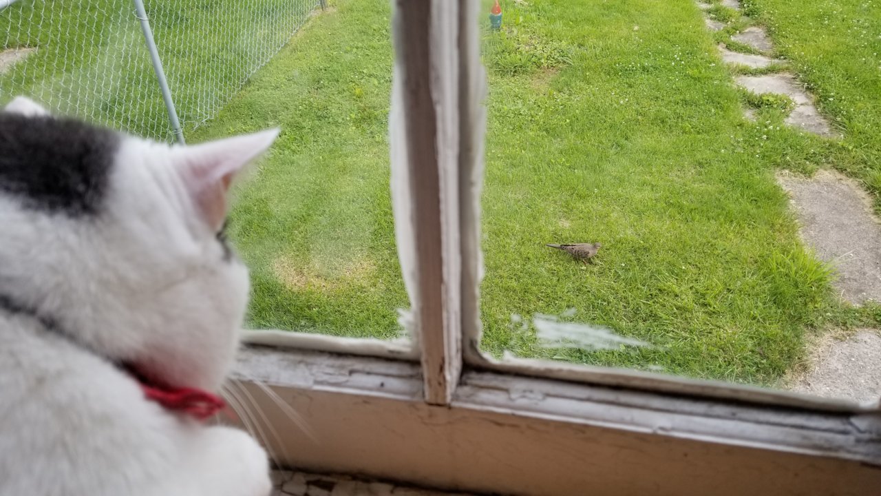 20190605_193248.jpg