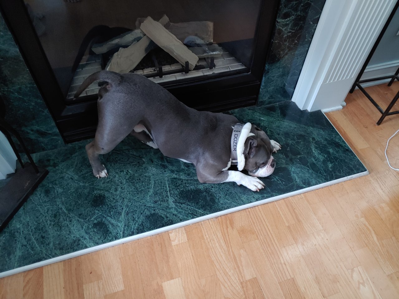 20190606_090932.jpg