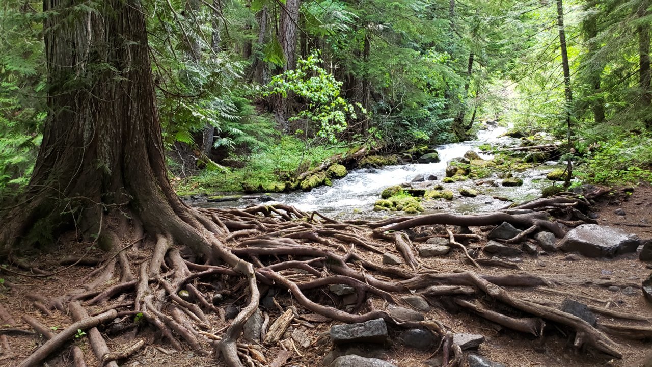 20190606_190113.jpg