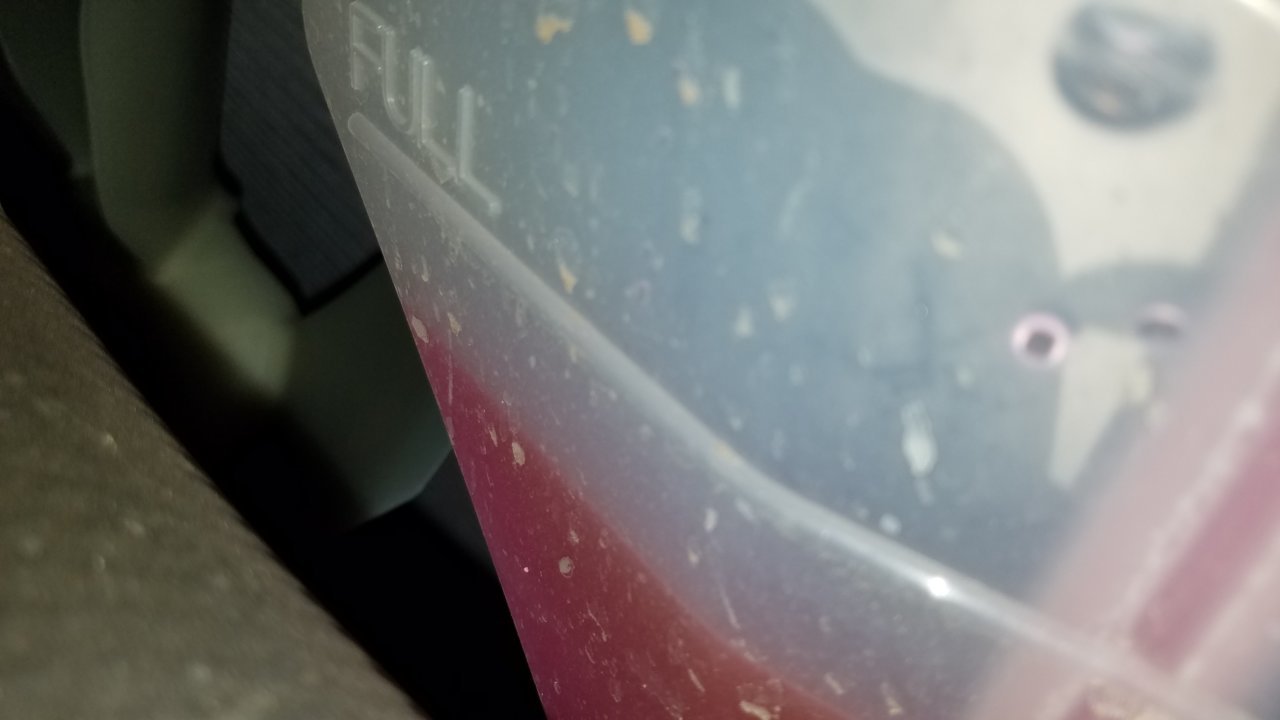 20190606_191844.jpg