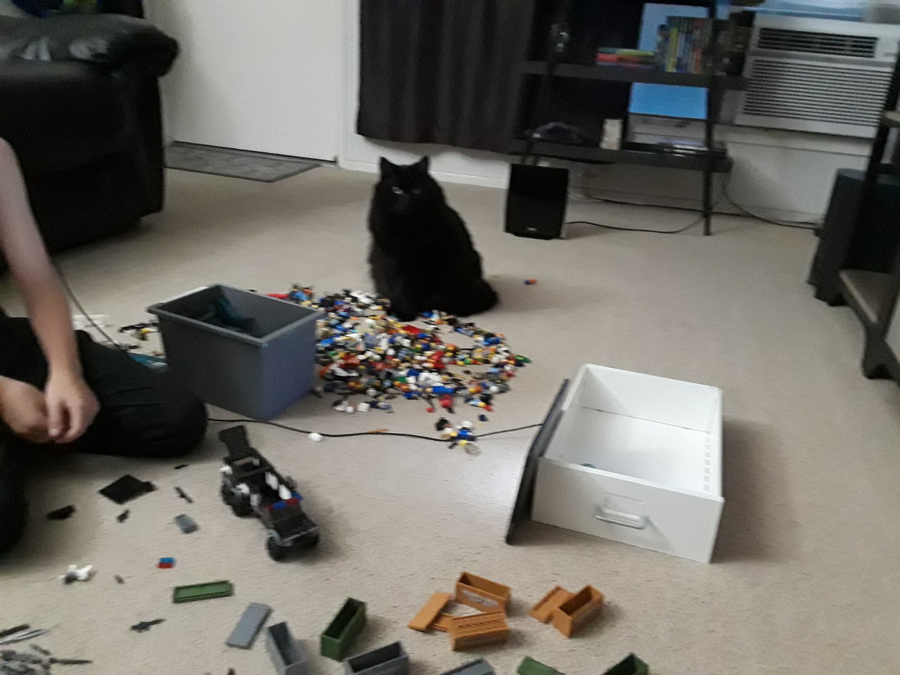 20190606_200600.jpg
