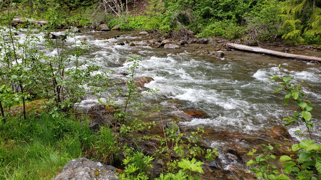 20190607_080326.jpg