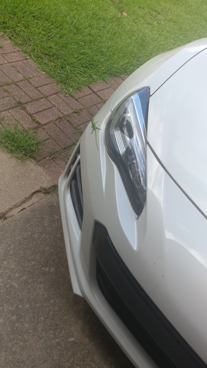 20190607_110718.jpg