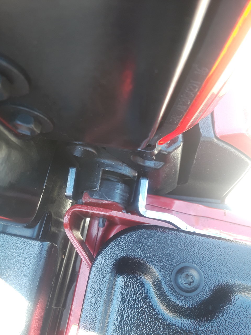 20190607_120535.jpg