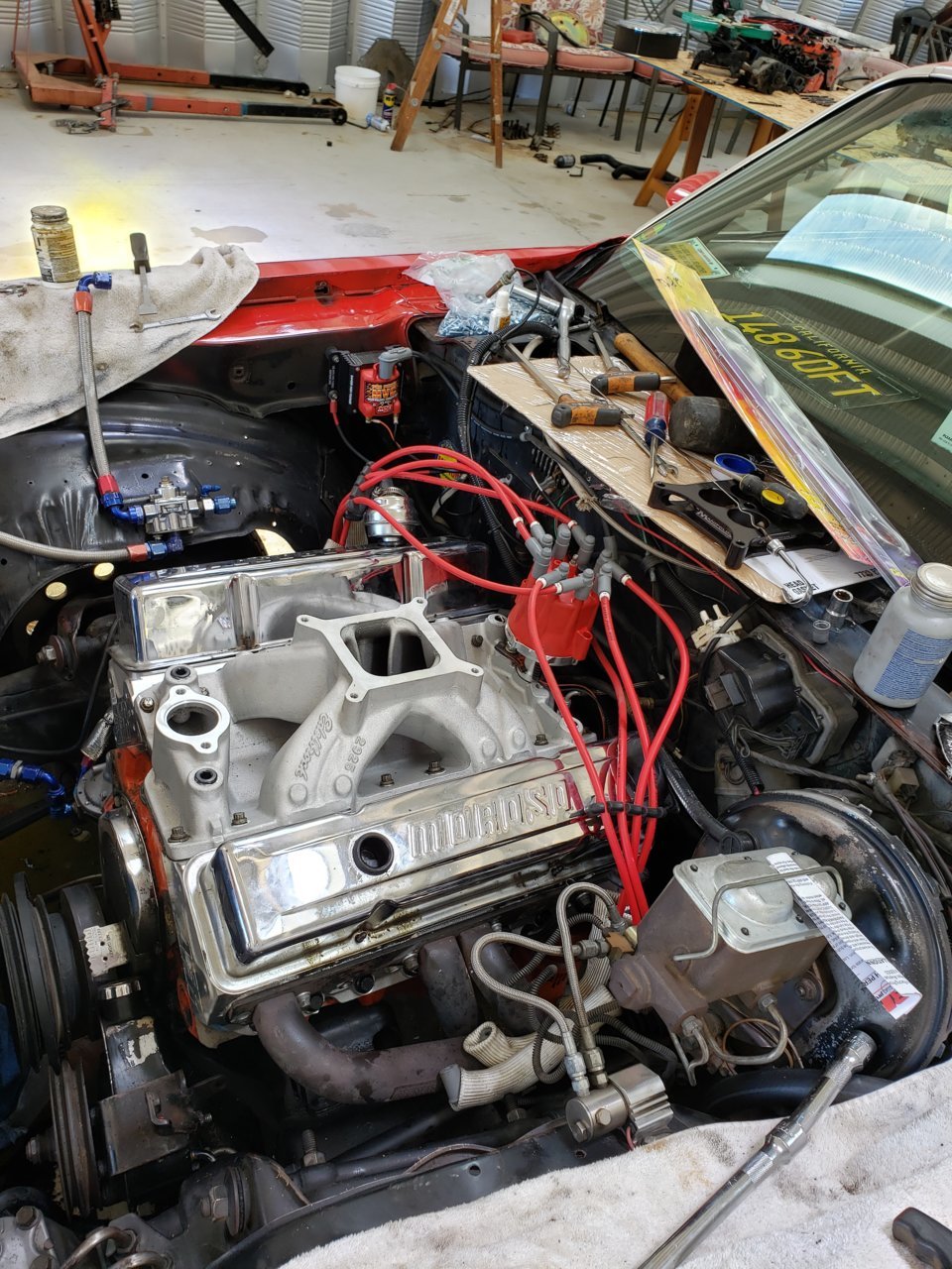 20190607_133311.jpg