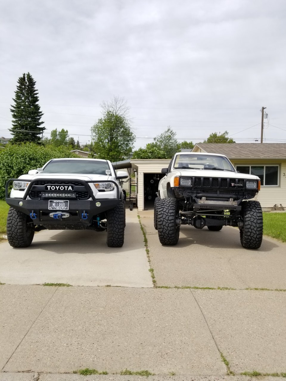 20190607_150801.jpg