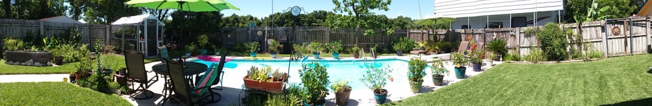 20190607_151623.jpg