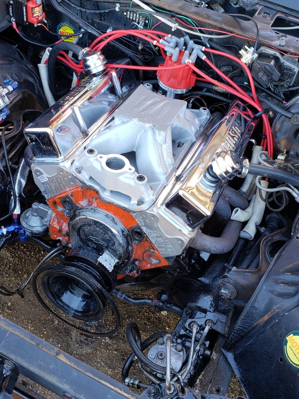 20190607_152256.jpg