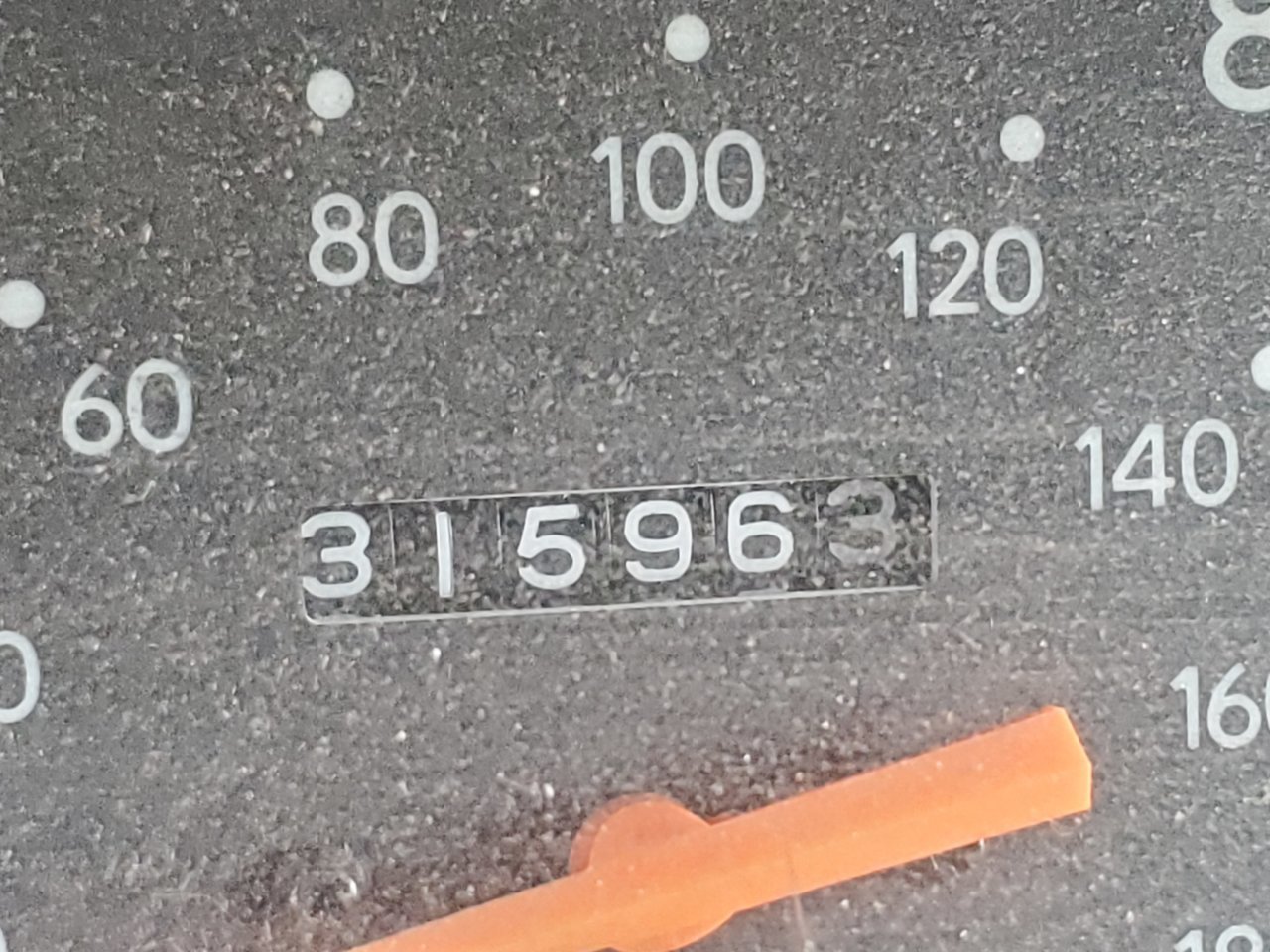 20190607_163903.jpg