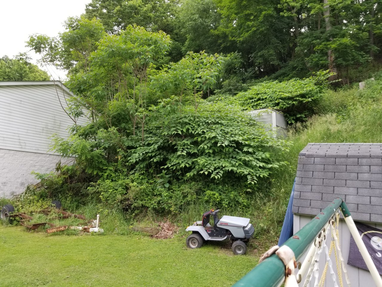 20190607_190525.jpg