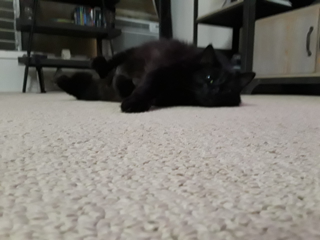 20190607_214940.jpg