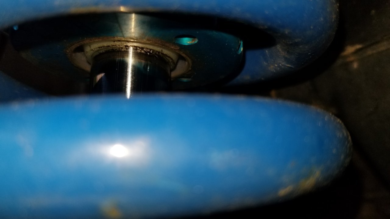 20190608_111435.jpg