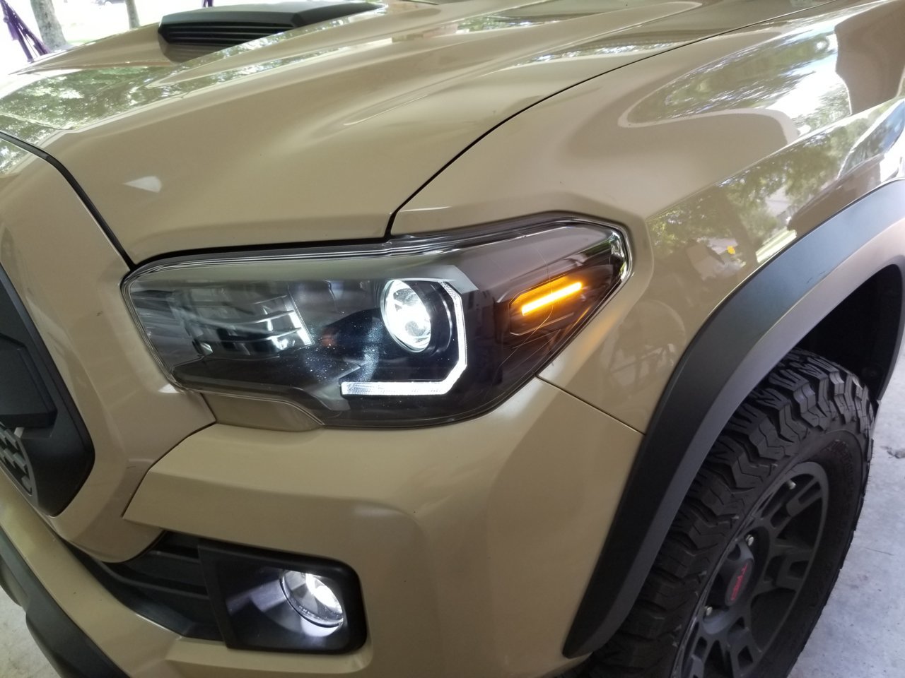 20190608_121833.jpg