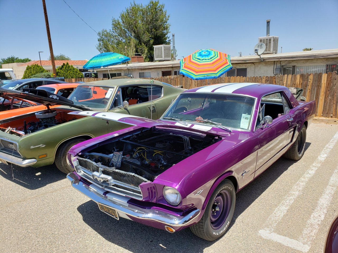 20190608_122655.jpg