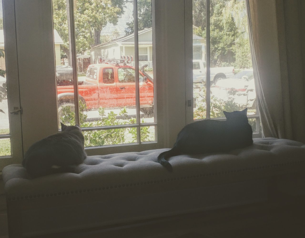 20190608_151820~2.jpg