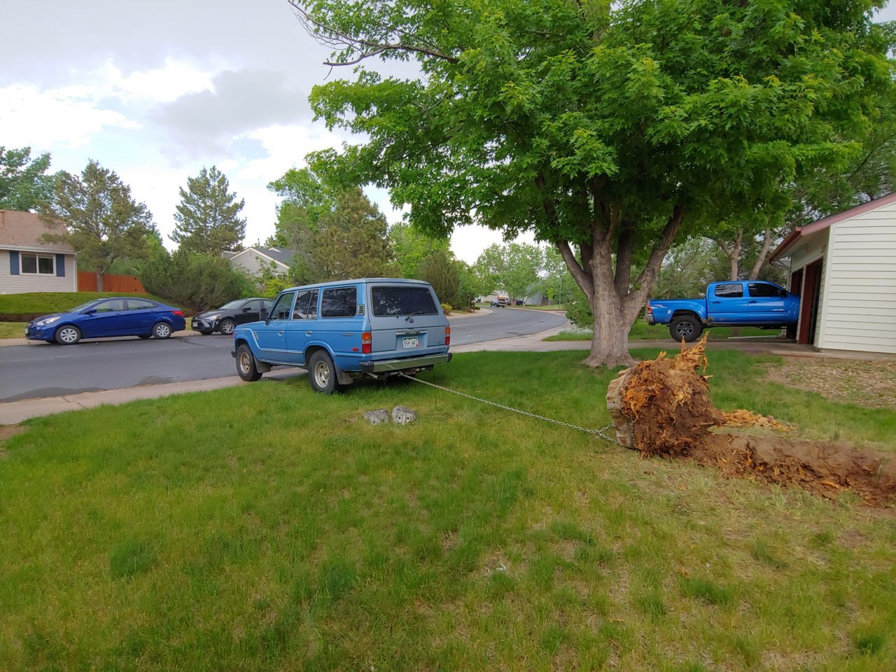 20190608_174744_HDR.jpg