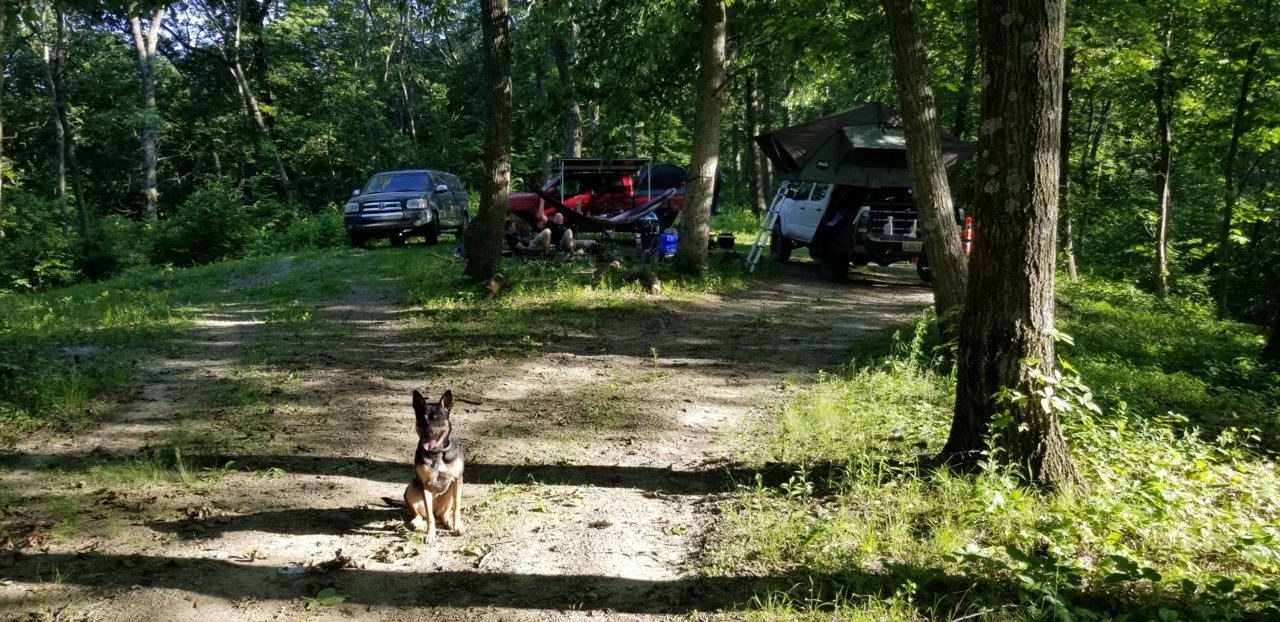 20190608_181615.jpg