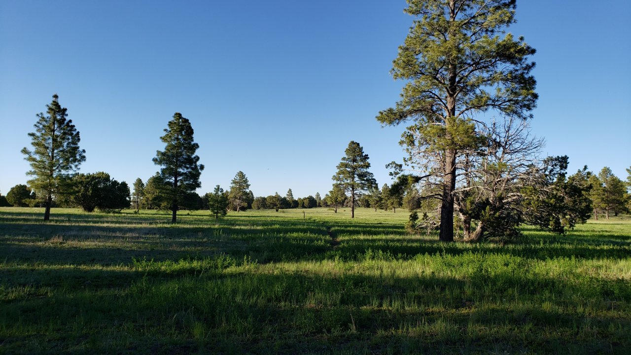 20190608_183302.jpg