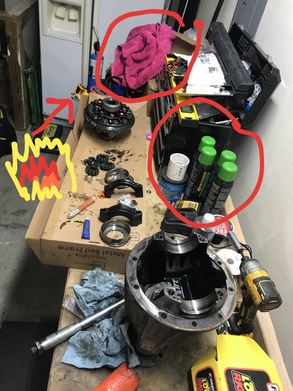 20190608_234206.jpg